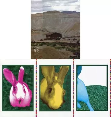 駿河屋 -<中古><<芸能・タレント>> うさぎ! 全3巻セット / 小沢健二