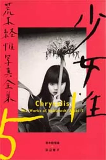 単行本(実用)　<<芸術・アート>> 荒木経惟写真全集 5 少女性