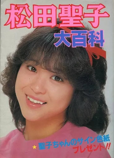 駿河屋 -<中古><<諸芸・娯楽>> 松田聖子大百科（諸芸・娯楽）