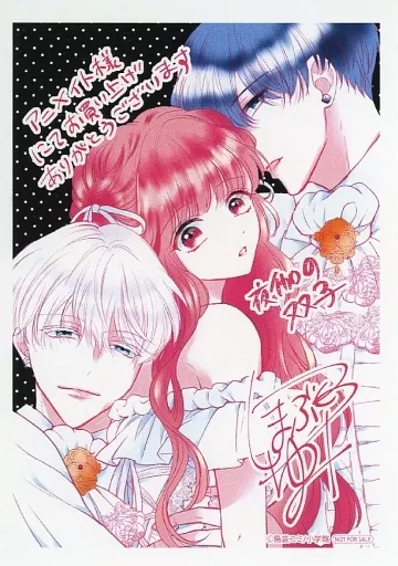 駿河屋 -<中古><<リーフレット・小冊子>> 夜伽の双子-贄姫は二人の王子