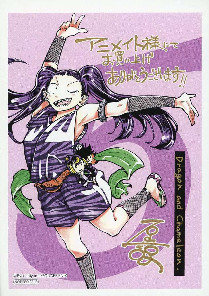 リーフレット・小冊子 龍とカメレオン(5) アニメイト購入特典メッセージペーパー / 石山諒