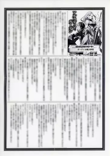 リーフレット・小冊子 アルカディア=ガーデン ～Age of heaveN～(1) 購入特典書き下ろしSSペーパー / 柳野かなた / 「理想郷」Project