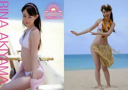 秋山莉奈/莉奈飯店～めしあがリーナ～ 匿名配送】グラビアアイドル・イメージ DVD 《秋山莉奈 / 莉奈飯店