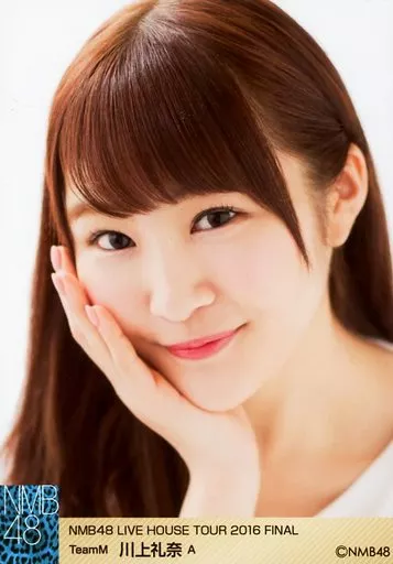 駿河屋 -<中古>A：川上礼奈/NMB48 Live House Tour 2016 FINAL