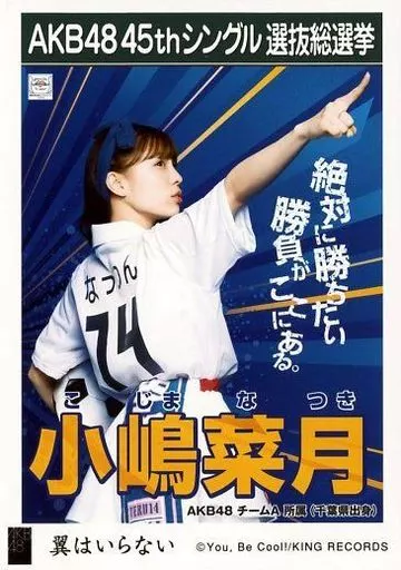 翼はいらない 劇場盤生写真 翼はいらない＜劇場盤＞ | AKB48 | キングレコードオフィシャルサイト