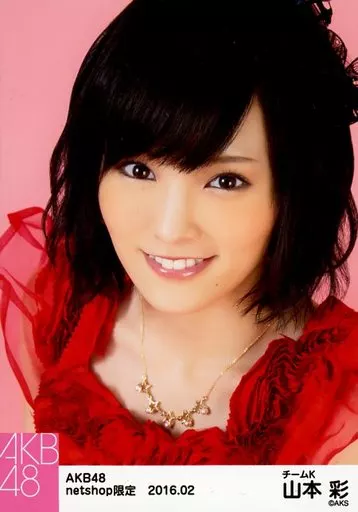 駿河屋 -<中古>山本彩/顔アップ/AKB48 2016年2月度 net shop限定