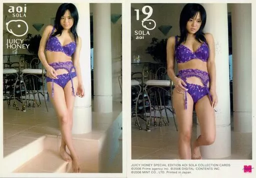 19 : 蒼井そら/レギュラーカード/AUTHENTIC VISUAL COLLECTION JUICY HONEY スペシャルエディション 蒼井そら コレクションカード