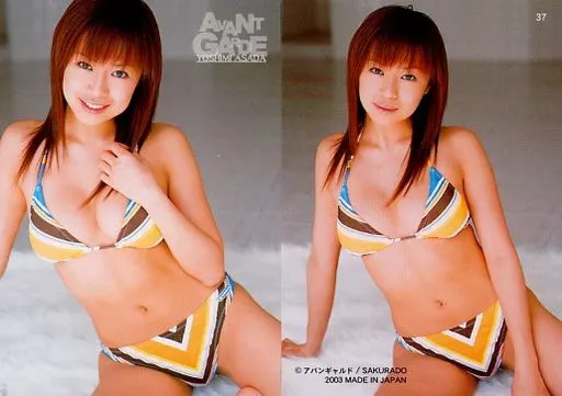 浅田好未/(a) 駿河屋 -<中古>37 ： パイレーツ/浅田好未/レギュラーカード