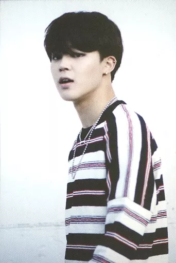 駿河屋 -<中古>1OF7：防弾少年団/JIMIN/「2015 BTS LIVE ＜花様年華 on