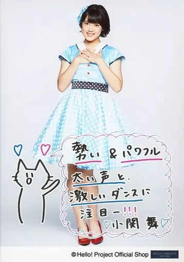 カントリー・ガールズ L版生写真 2 ハロー！ショップ東京秋葉原店 on X