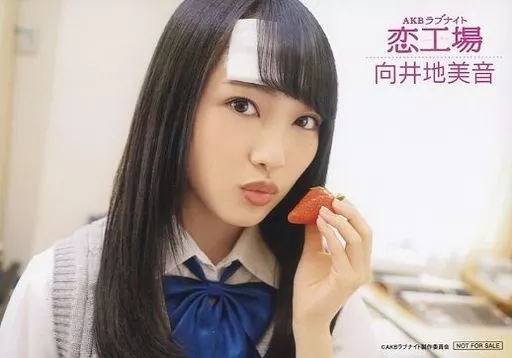 駿河屋 -<中古>向井地美音/DVD BOX「AKB ラブナイト 恋工場」封入特典