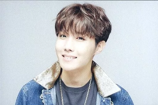 BTS 防弾少年団 花様年華 EPILOGUE MINI PHOTO JHOPE 駿河屋 -<中古>1OF7：防弾少年団/J-HOPE/2016 BTS LIVE ＜花様