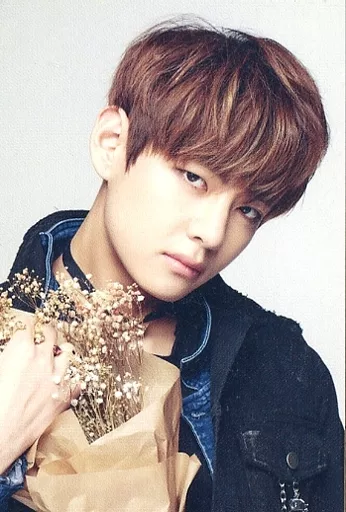 BTS 防弾少年団 花様年華 ON STAGE MINI PHOTOCARD V 駿河屋 -<中古>2OF7：防弾少年団/V/2016 BTS LIVE ＜花様年華 on stage