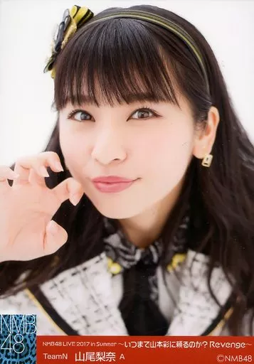 駿河屋 -<中古>A：山尾梨奈/NMB48 LIVE 2017 in Summer～いつまで山本