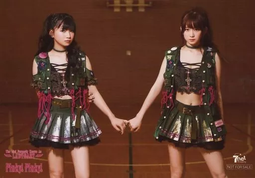 駿河屋 -<中古>The Idol Formerly Known As LADYBABY/金子理江・黒宮