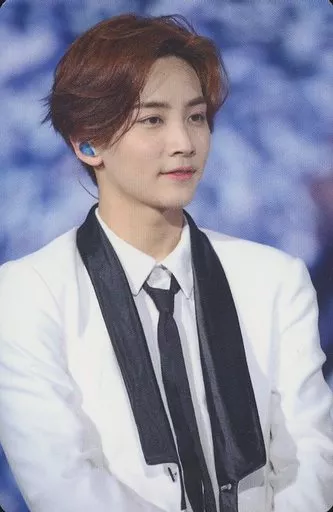 駿河屋 -<中古>SEVENTEEN/JEONGHAN(ジョンハン)/DVD「'17 JAPAN