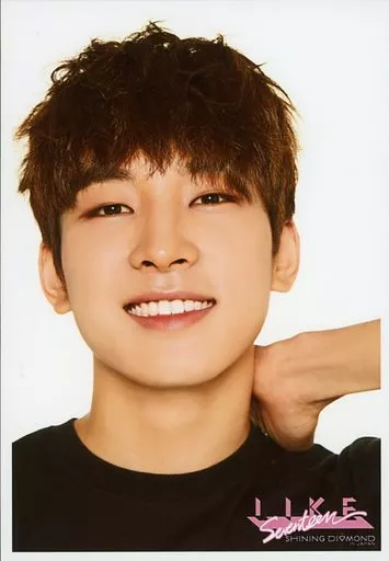 seventeen shining diamond ウォヌ チェキ seventeen shining diamond ウォヌ チェキ seventeen shining
