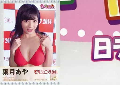 アイドルの穴 2014 日テレジェニックを探せ！ DVD 駿河屋 -<中古>葉月あや/DVD「アイドルの穴2014 ～日テレジェニックを