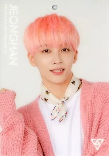 駿河屋 -<中古>036 ： SEVENTEEN/JEONGHAN(ジョンハン)/下敷き
