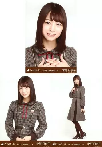 駿河屋 -<中古>◇北野日奈子/乃木坂46 2018.January-V 会場限定