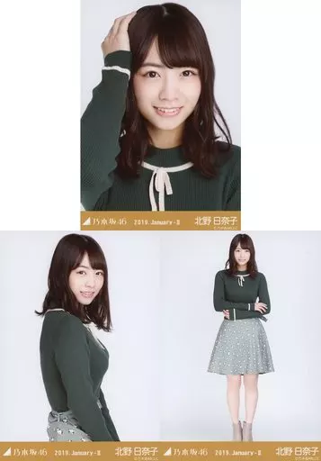 駿河屋 - 【買取】◇北野日奈子/乃木坂46 2019.January-II会場限定