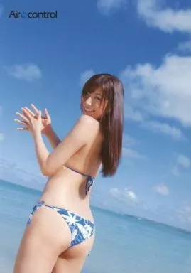 穂川果音 グラビア DVD 穂川果音 お天気お姉さんの休日 DVD