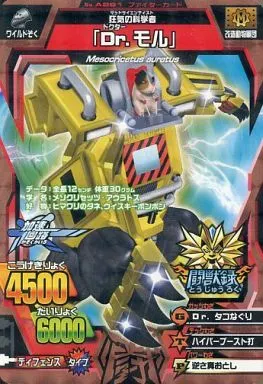 駿河屋 -<中古>T96A-261[銅レア]：「Dr.モル」（グレートアニマル