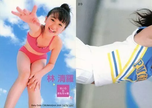 駿河屋 -<中古>2/3 ： 林清羅/DVD「せいらのおもちゃ箱」特典