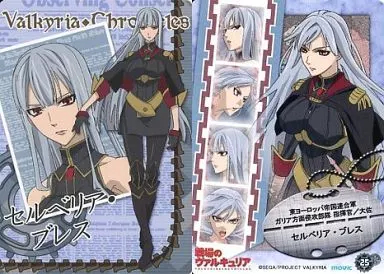 駿河屋 -<中古>25[レギュラーカード]：セルベリア・ブレス