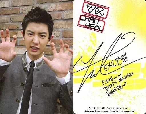駿河屋 -<中古>EXO-K/チャニョル(CHANYEOL)/制服Ver./裏面印刷サイン