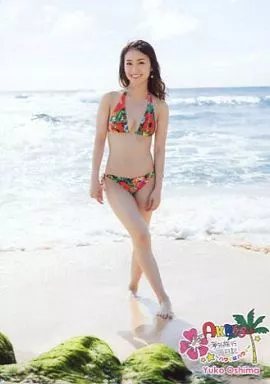 【新品未開封】大島優子DVDBOX AKB48 海外旅行日記〜ハワイはハワイ〜 大島優子DVD BOX AKB48 海外旅行日記〜ハワイはハワイ〜 DVD2枚組