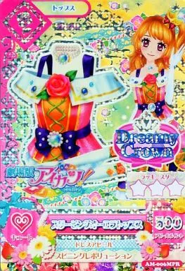 駿河屋 -<中古>AM-006：スリーピングオーロラトップス/大空あかり