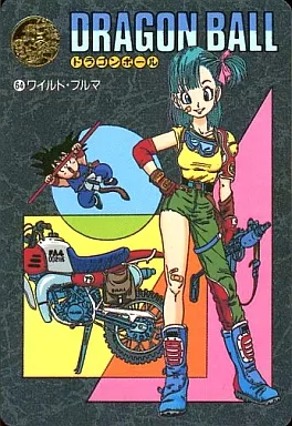ビジュアルアドベンチャー ブルマ Yahoo!オークション - ドラゴンボール ビジュアルアドベンチャー ブル