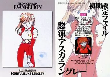駿河屋 -<中古>IL5：惣流・アスカ・ラングレー（アニメ・ゲーム）
