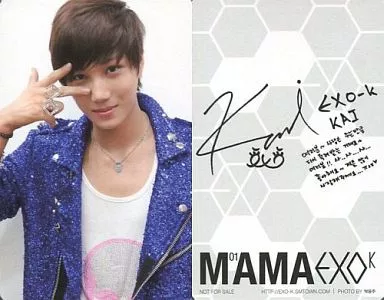 駿河屋 -<中古>EXO-K/カイ(KAI)/新Ver./裏面印刷サイン入り