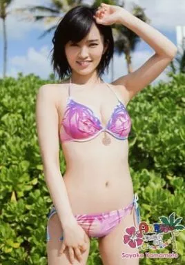 駿河屋 -<中古>山本彩/⑯/DVD｢AKB48海外旅行日記 -ハワイは