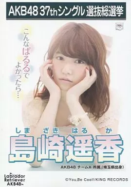 AKB ラブラドールレトリバー 劇場 生写真 ラブラドール・レトリバー - エケペディア
