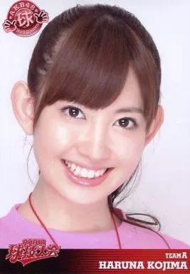 AKB48ヤングメンバー全国ツアー～未来は今から作られる～/AKB48