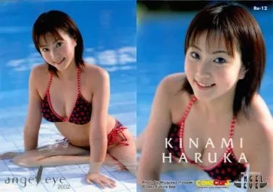 駿河屋 -<中古>Re-12 ： 木南晴夏/レギュラーカード/PHOTOCARD