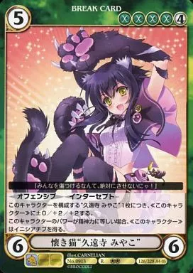No.0913[R]：懐き猫“久遠寺 みやこ”