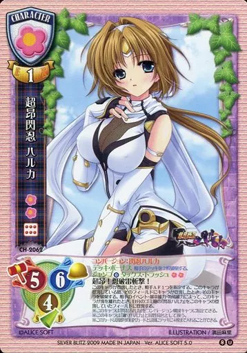 駿河屋 -<中古>CH-2062[U]：超昴閃忍 ハルカ（リセ）