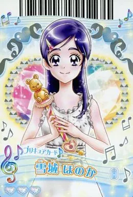 駿河屋 -<中古>P-246[ノーマル]：雪城ほのか（プリキュアデータ