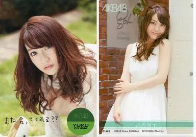 駿河屋 -<中古>PR06B ： 大島優子/特製スリーブ入りスペシャル