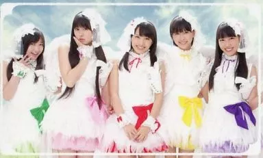 中古生写真(女性) No.1028 ： ももいろクローバーZ/集合(5人