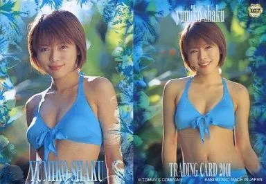 釈由美子　トレカ　SP25枚（プラ）シルバーサイン31枚他　277枚 釈由美子 トレカ SP25枚（プラ）シルバーサイン31枚他 277枚 釈由美子