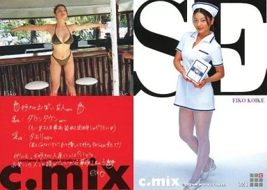 小池栄子さんグッズ セット カード トレカ バインダー コレクション まとめ 小池栄子 トレーディングカード まとめ売り 56枚セット ファイル付