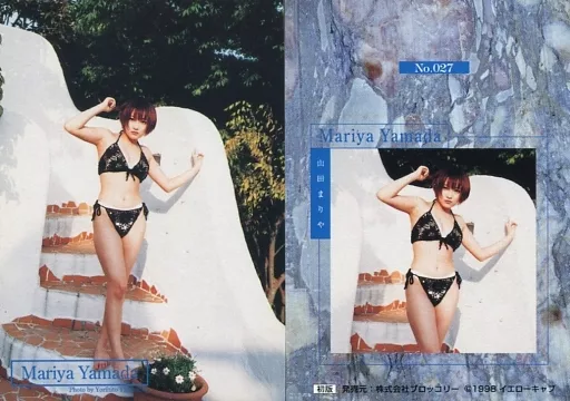 山田まりや　トレーディングカード　BOMB ボム　グラビア　女優　激レア 駿河屋 -<中古>016[レギュラー]：山田まりや/レギュラー/PPJ