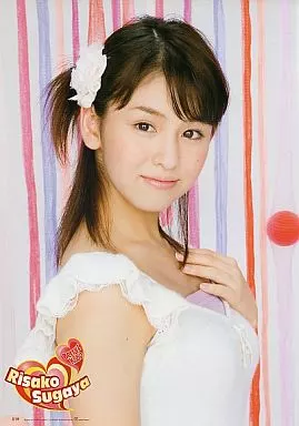 6585 Berryz工房 菅谷梨沙子 生写真 Berryz工房 菅谷梨沙子3rd写真集✳︎メイキングDVD付き - メルカリ
