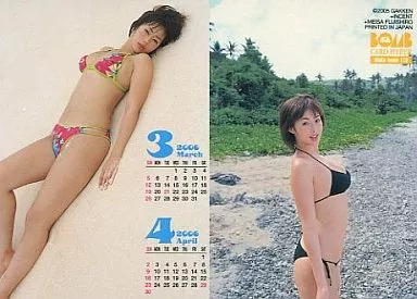 井上和香2 トレーディングカード 井上和香◇106□BOMB CARD HYPER 井上和香2の通販 by アセチレン