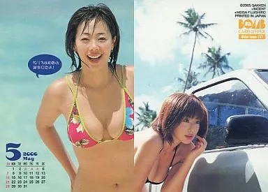 駿河屋 -<中古>Waka Inoue 117 [開運カレンダーカード] ： 井上和香